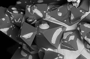 崇左崇左蔡司显微镜